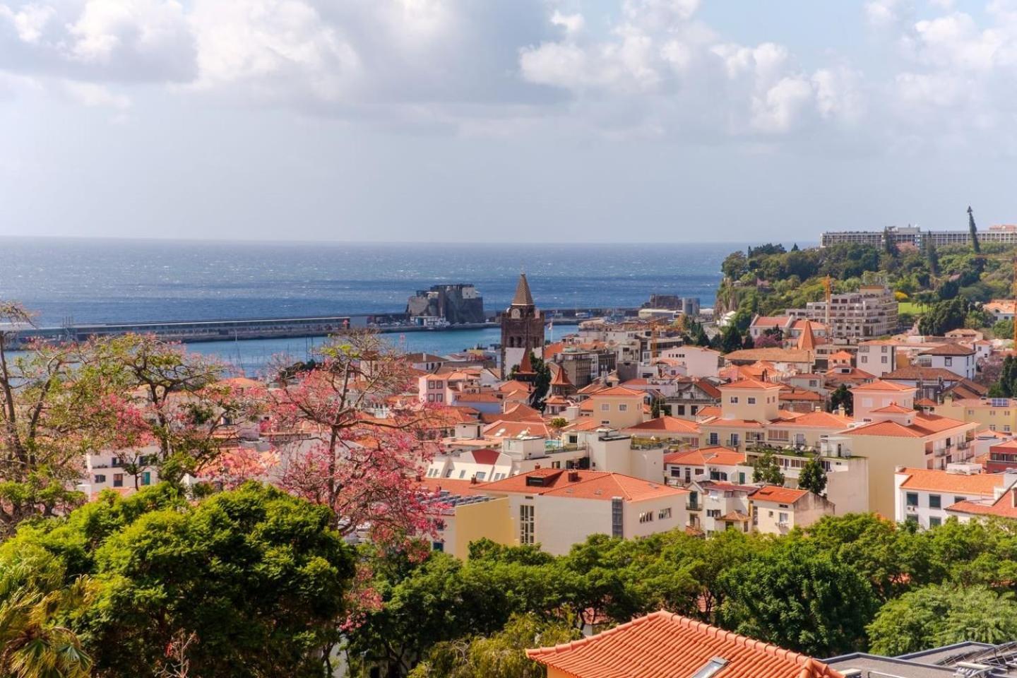 Varandas Funchal-Near Center Daire Dış mekan fotoğraf